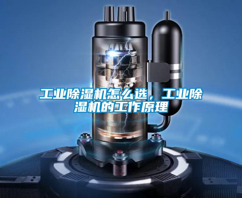 工業(yè)除濕機怎么選，工業(yè)除濕機的工作原理