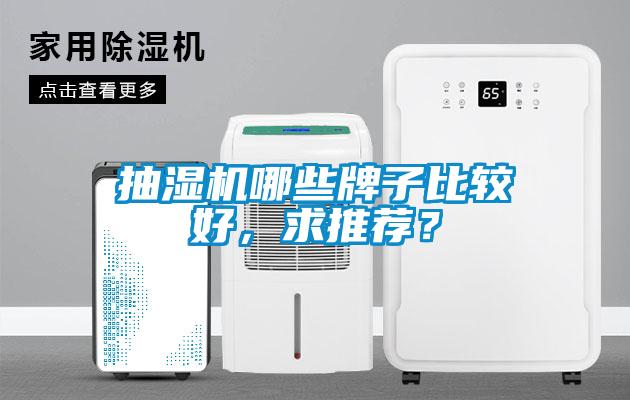 抽濕機哪些牌子比較好，求推薦？