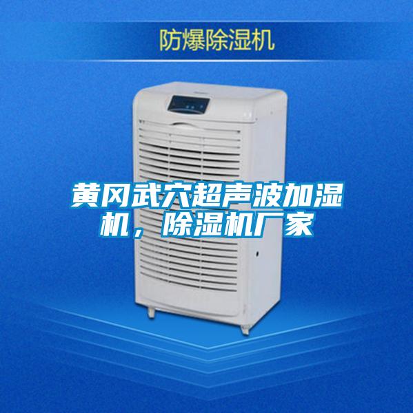 黃岡武穴超聲波加濕機，除濕機廠(chǎng)家