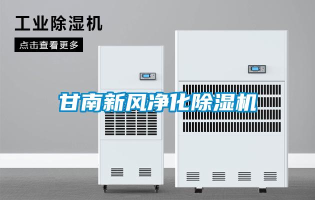 甘南新風(fēng)凈化除濕機