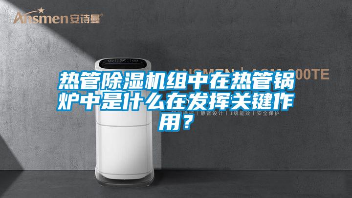熱管除濕機組中在熱管鍋爐中是什么在發(fā)揮關(guān)鍵作用？