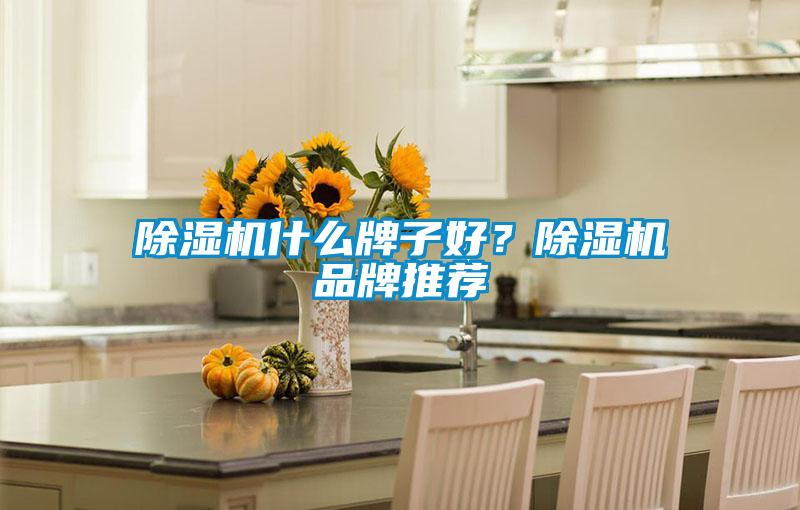 除濕機什么牌子好？除濕機品牌推薦