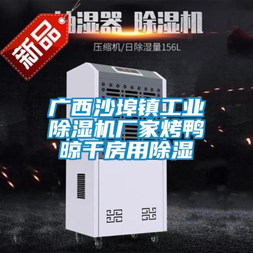 廣西沙埠鎮工業(yè)除濕機廠(chǎng)家烤鴨晾干房用除濕