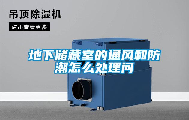 地下儲藏室的通風(fēng)和防潮怎么處理問(wèn)