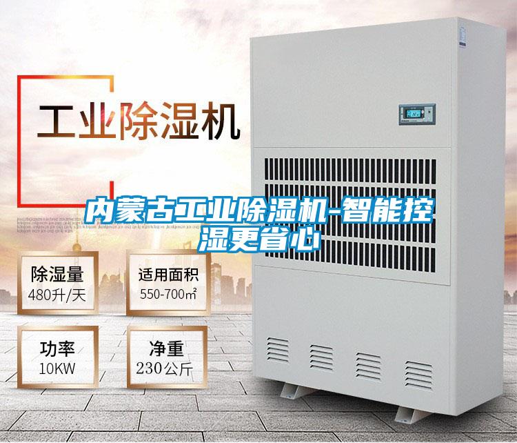 內蒙古工業(yè)除濕機-智能控濕更省心