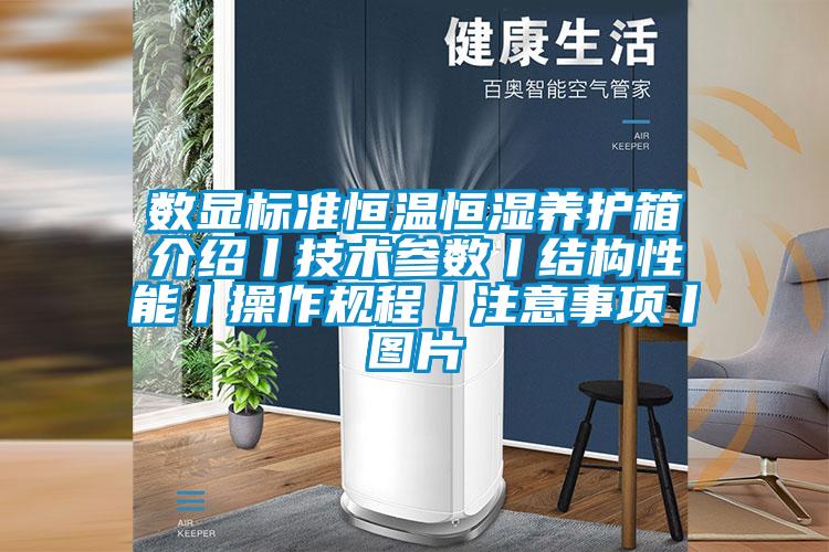 數顯標準恒溫恒濕養護箱介紹丨技術(shù)參數丨結構性能丨操作規程丨注意事項丨圖片