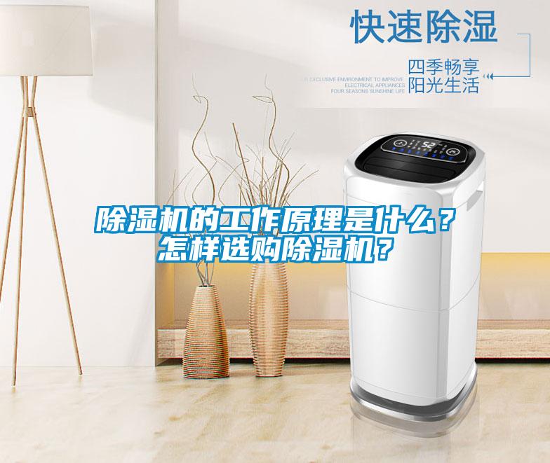 除濕機的工作原理是什么？怎樣選購除濕機？
