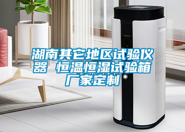 湖南其它地區試驗儀器 恒溫恒濕試驗箱廠(chǎng)家定制