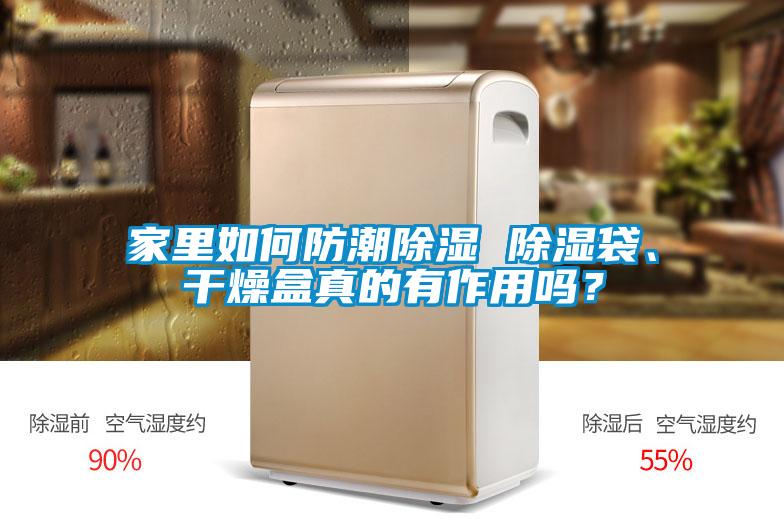 家里如何防潮除濕 除濕袋、干燥盒真的有作用嗎？