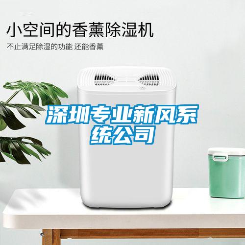 深圳專(zhuān)業(yè)新風(fēng)系統公司