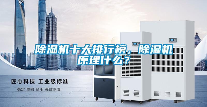 除濕機十大排行榜，除濕機原理什么？