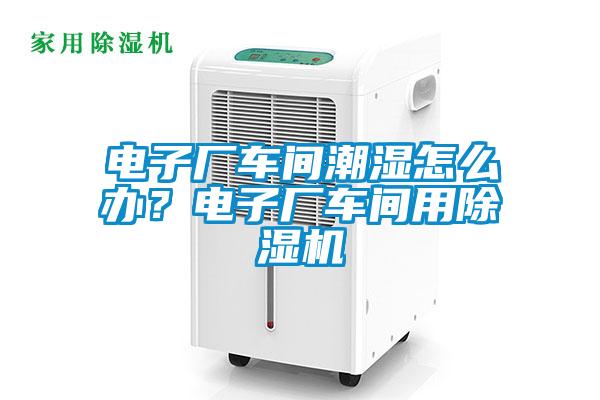電子廠(chǎng)車(chē)間潮濕怎么辦？電子廠(chǎng)車(chē)間用除濕機