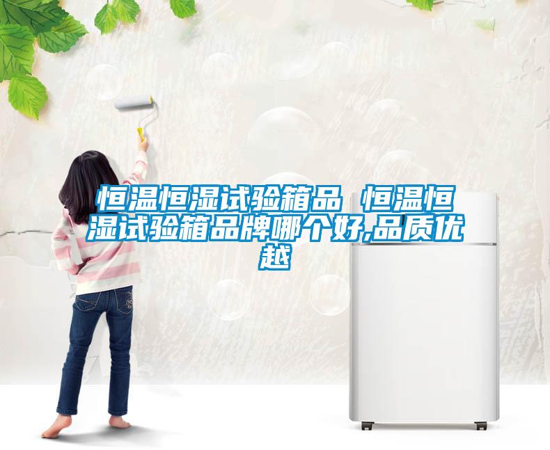 恒溫恒濕試驗箱品 恒溫恒濕試驗箱品牌哪個(gè)好,品質(zhì)優(yōu)越