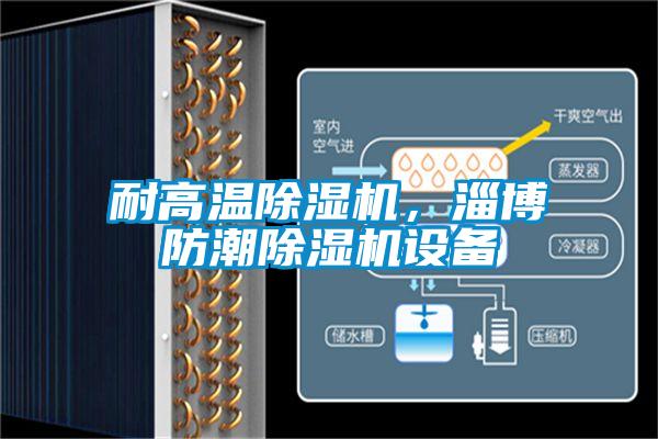 耐高溫除濕機，淄博防潮除濕機設備