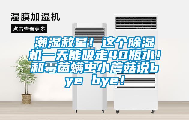 潮濕救星！這個(gè)除濕機一天能吸走40瓶水！和霉菌螨蟲(chóng)小蘑菇說(shuō)bye bye！