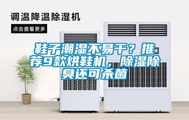 鞋子潮濕不易干？推薦9款烘鞋機，除濕除臭還可殺菌