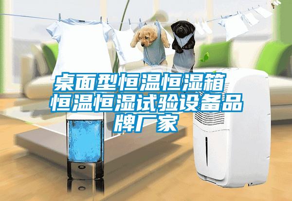 桌面型恒溫恒濕箱 恒溫恒濕試驗設備品牌廠(chǎng)家