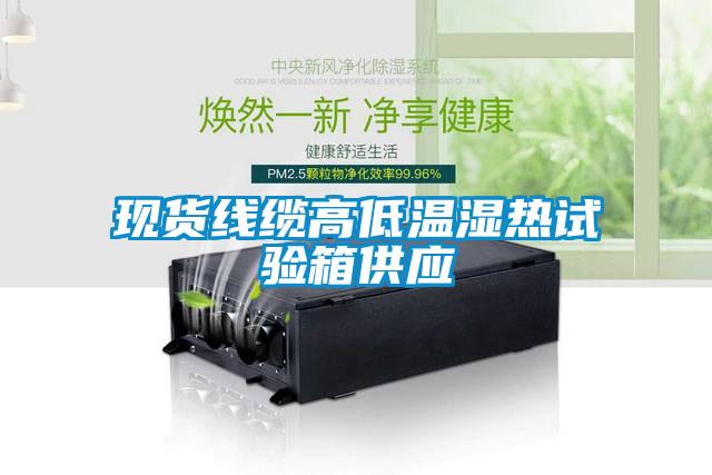 現貨線(xiàn)纜高低溫濕熱試驗箱供應