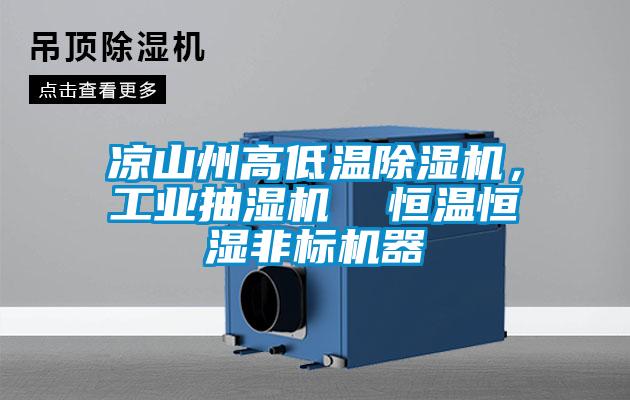 涼山州高低溫除濕機，工業(yè)抽濕機  恒溫恒濕非標機器