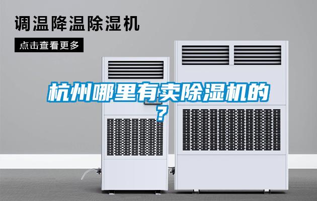 杭州哪里有賣(mài)除濕機的？