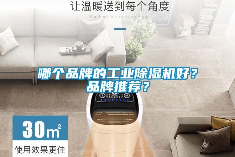 哪個(gè)品牌的工業(yè)除濕機好？品牌推薦？