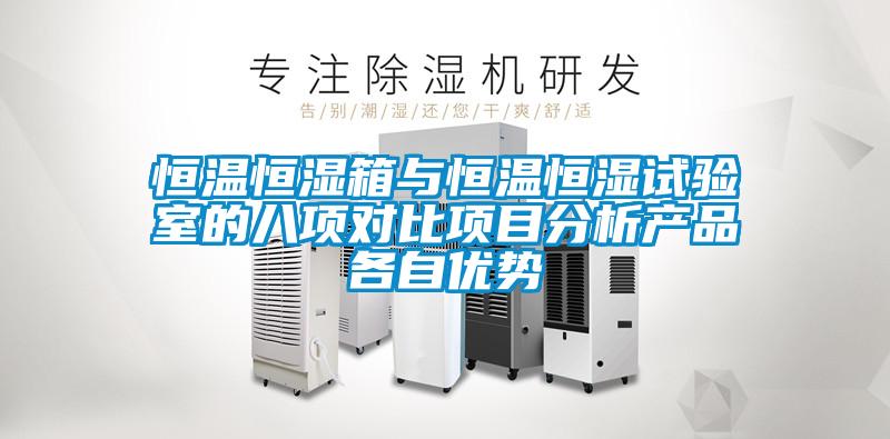 恒溫恒濕箱與恒溫恒濕試驗室的八項對比項目分析產(chǎn)品各自?xún)?yōu)勢