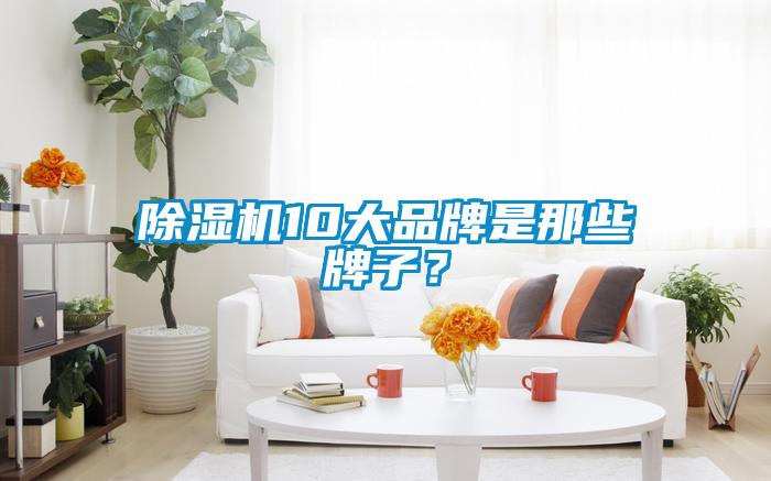 除濕機10大品牌是那些牌子？