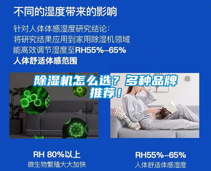 除濕機怎么選？多種品牌推薦！