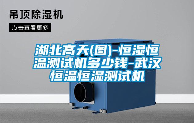 湖北高天(圖)-恒濕恒溫測試機多少錢(qián)-武漢恒溫恒濕測試機