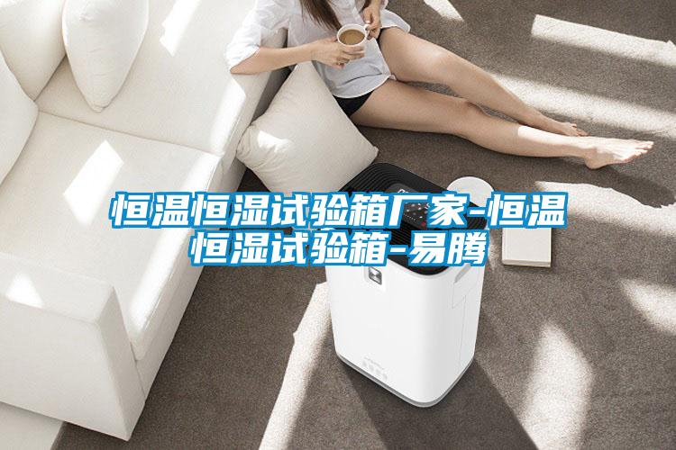 恒溫恒濕試驗箱廠(chǎng)家-恒溫恒濕試驗箱-易騰