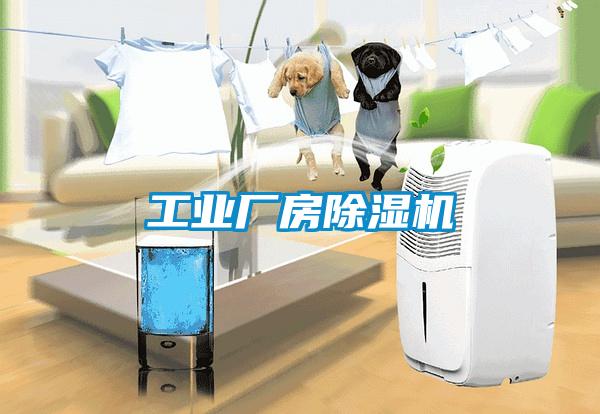 工業(yè)廠(chǎng)房除濕機