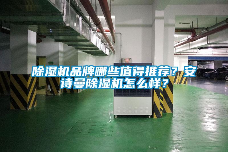 除濕機品牌哪些值得推薦？安詩(shī)曼除濕機怎么樣？