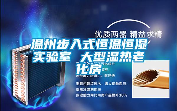 溫州步入式恒溫恒濕實(shí)驗室 大型濕熱老化房