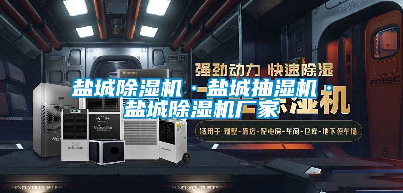 鹽城除濕機·鹽城抽濕機·鹽城除濕機廠(chǎng)家