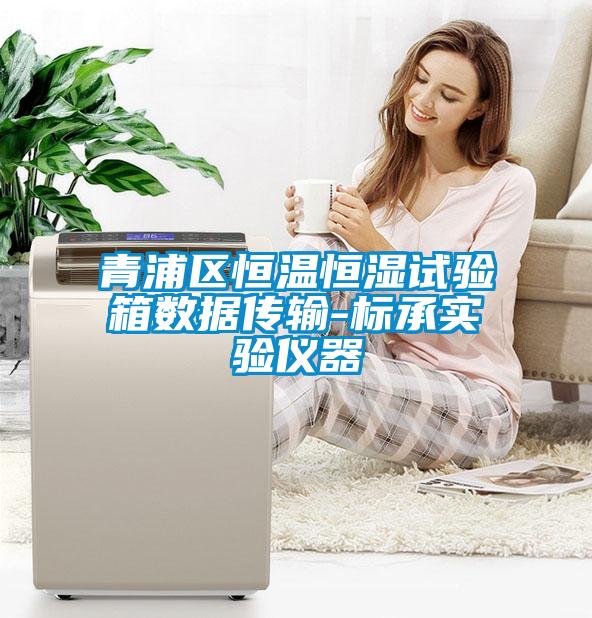 青浦區恒溫恒濕試驗箱數據傳輸-標承實(shí)驗儀器