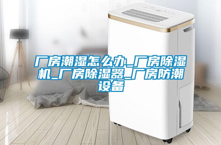 廠(chǎng)房潮濕怎么辦_廠(chǎng)房除濕機_廠(chǎng)房除濕器_廠(chǎng)房防潮設備