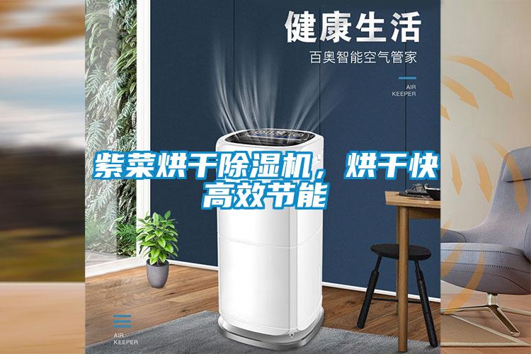 紫菜烘干除濕機，烘干快高效節能