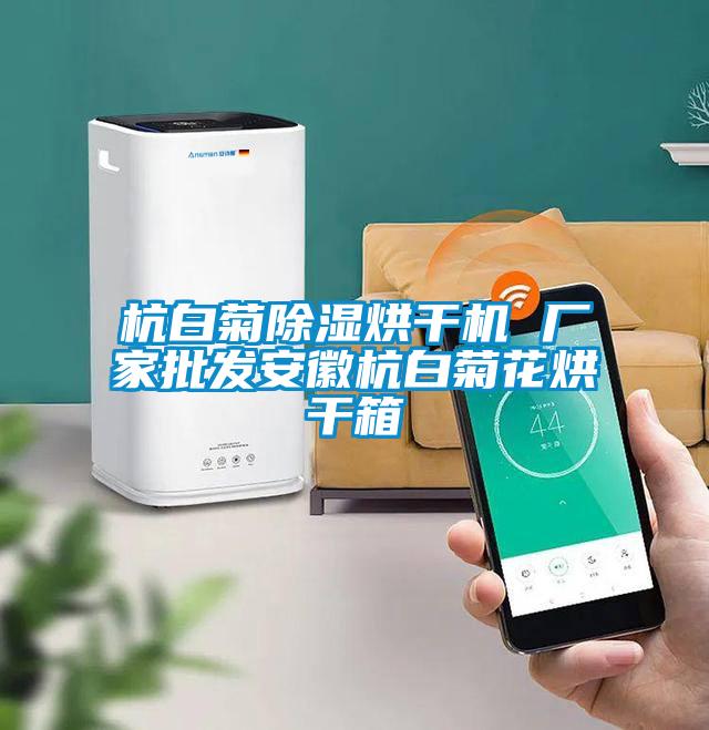 杭白菊除濕烘干機 廠(chǎng)家批發(fā)安徽杭白菊花烘干箱