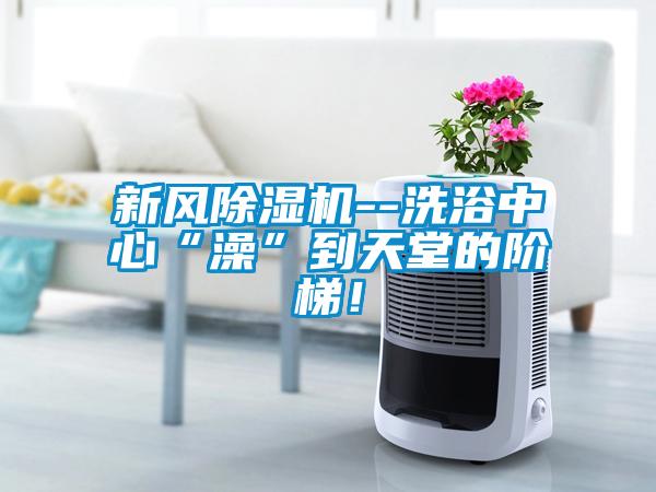 新風(fēng)除濕機--洗浴中心“澡”到天堂的階梯！
