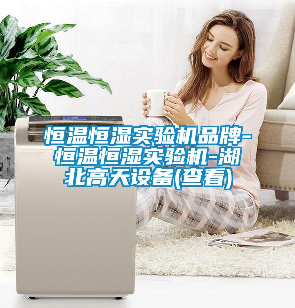 恒溫恒濕實(shí)驗機品牌-恒溫恒濕實(shí)驗機-湖北高天設備(查看)