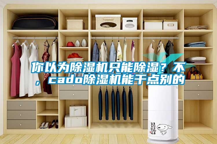 你以為除濕機只能除濕？不，cado除濕機能干點(diǎn)別的