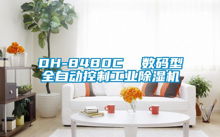 DH-8480C  數碼型全自動(dòng)控制工業(yè)除濕機