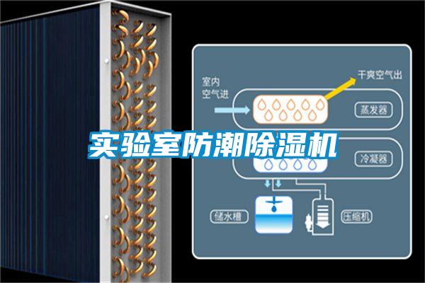 實(shí)驗室防潮除濕機