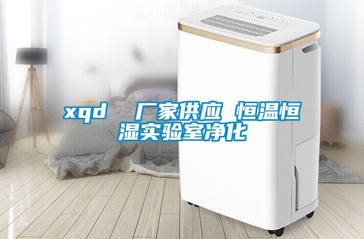 xqd  廠(chǎng)家供應 恒溫恒濕實(shí)驗室凈化