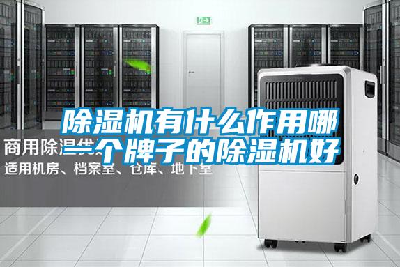 除濕機有什么作用哪一個(gè)牌子的除濕機好