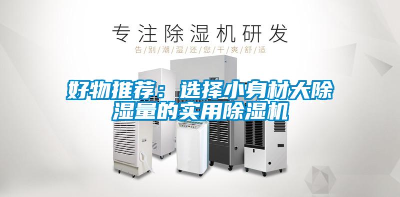 好物推薦：選擇小身材大除濕量的實(shí)用除濕機