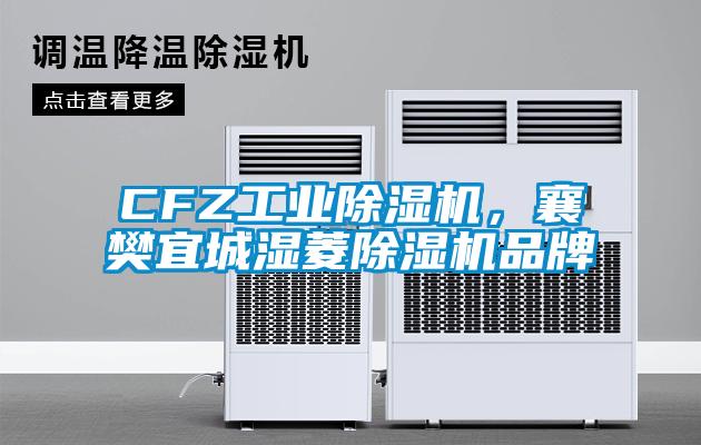 CFZ工業(yè)除濕機，襄樊宜城濕菱除濕機品牌