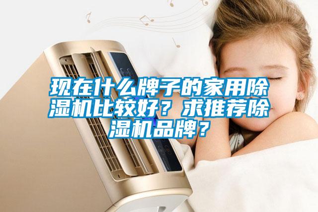 現在什么牌子的家用除濕機比較好？求推薦除濕機品牌？