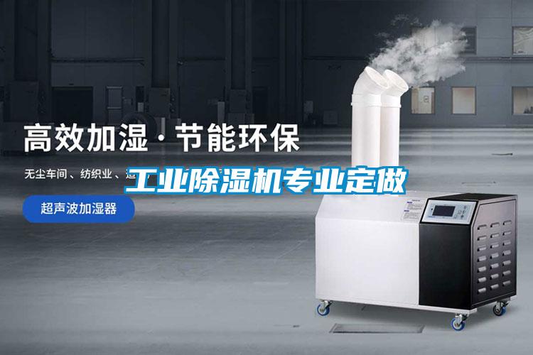 工業(yè)除濕機專(zhuān)業(yè)定做