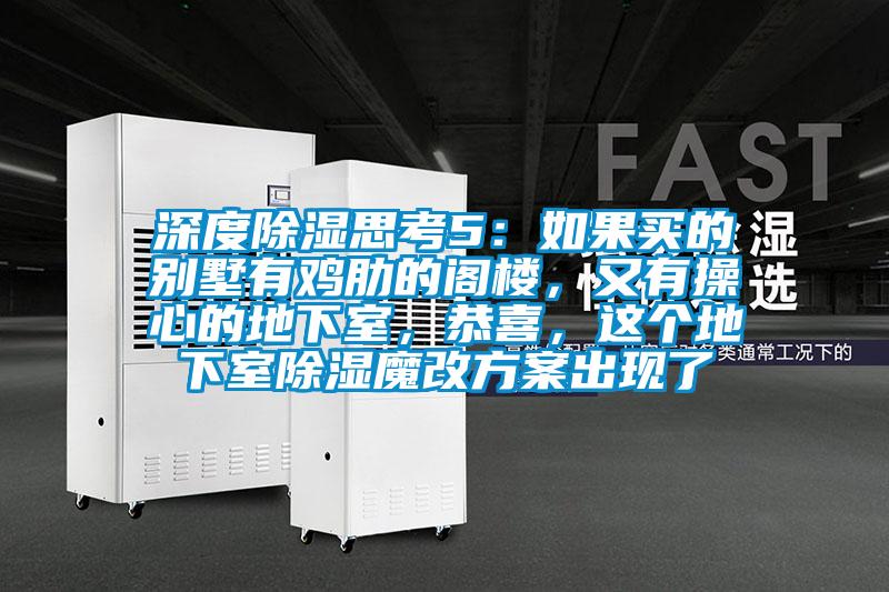 深度除濕思考5：如果買(mǎi)的別墅有雞肋的閣樓，又有操心的地下室，恭喜，這個(gè)地下室除濕魔改方案出現了